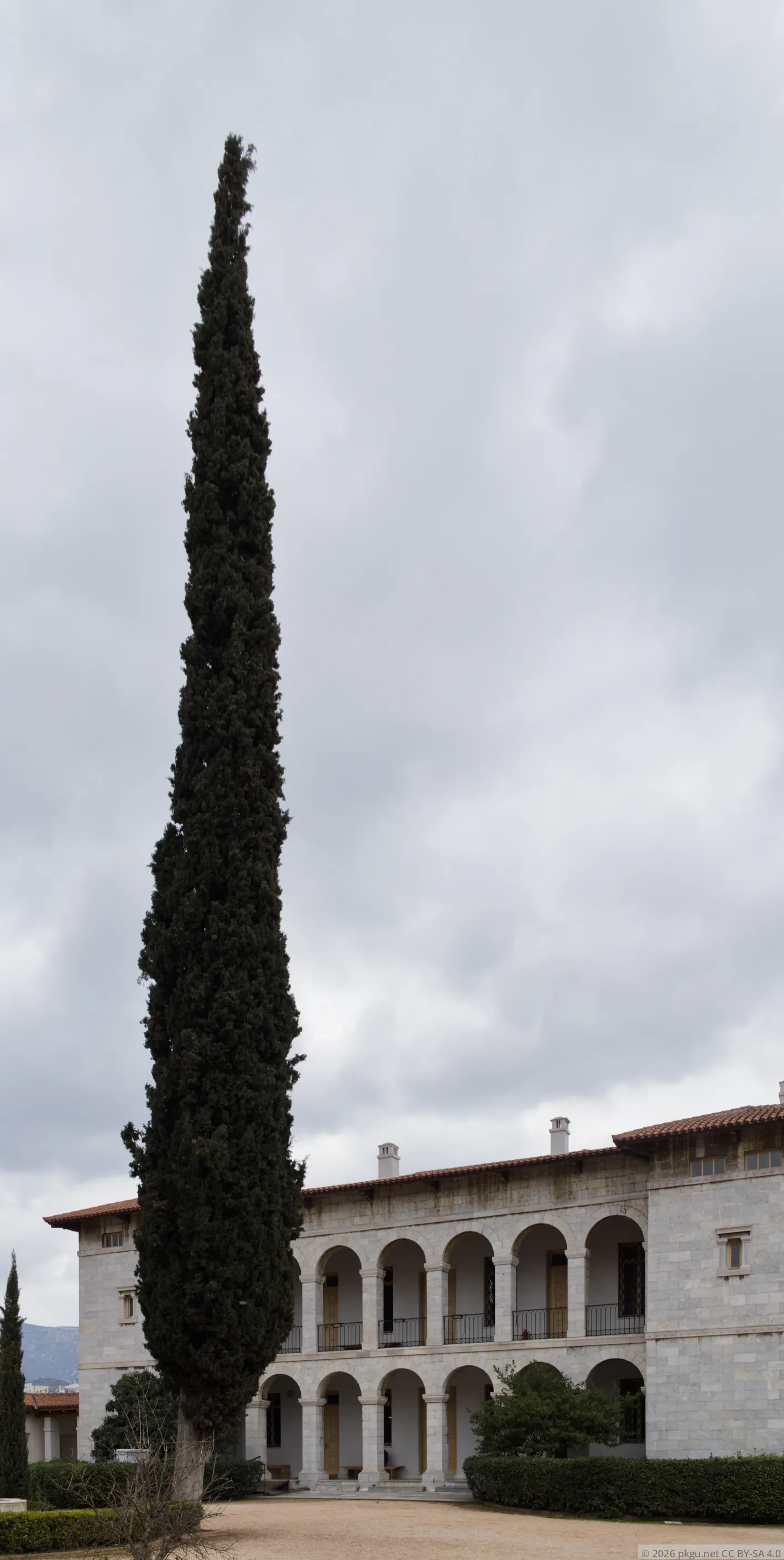 0cd4f2f15905091f31e8