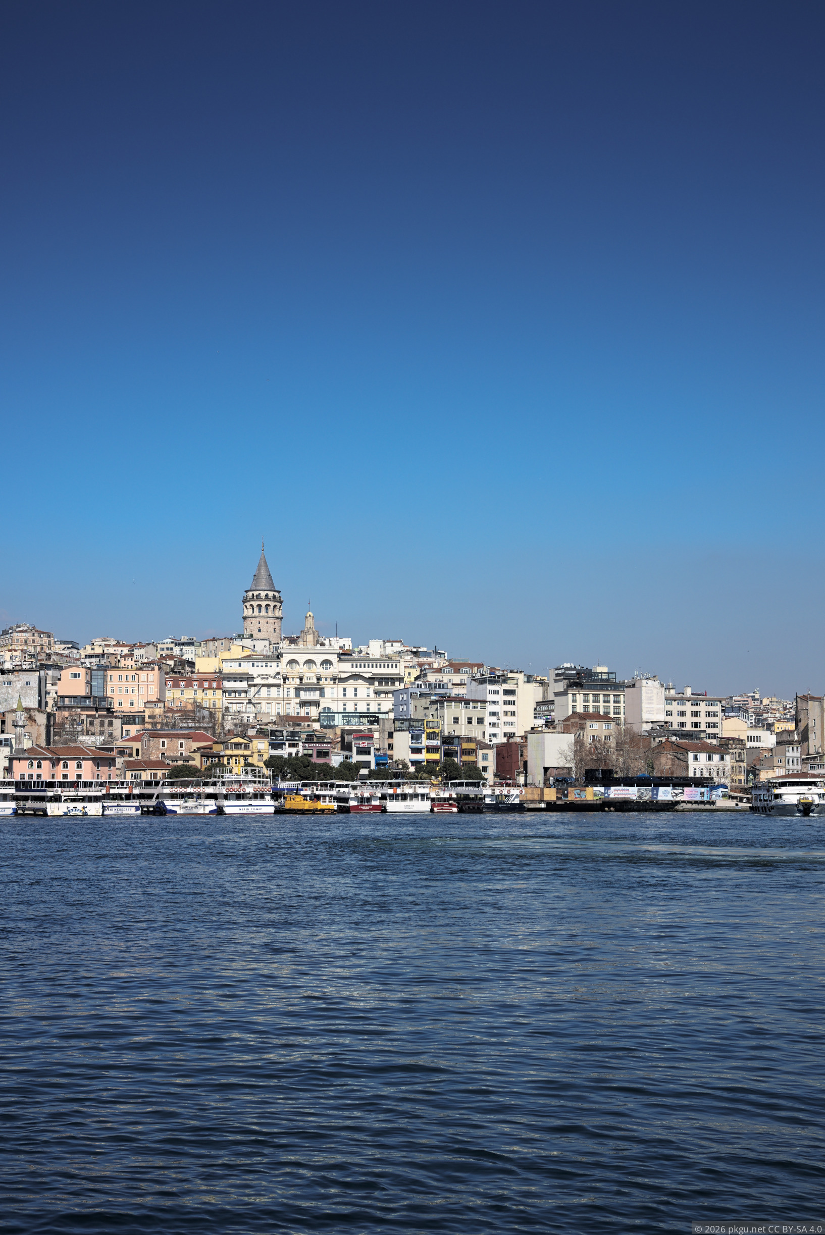 289e889708c292289471