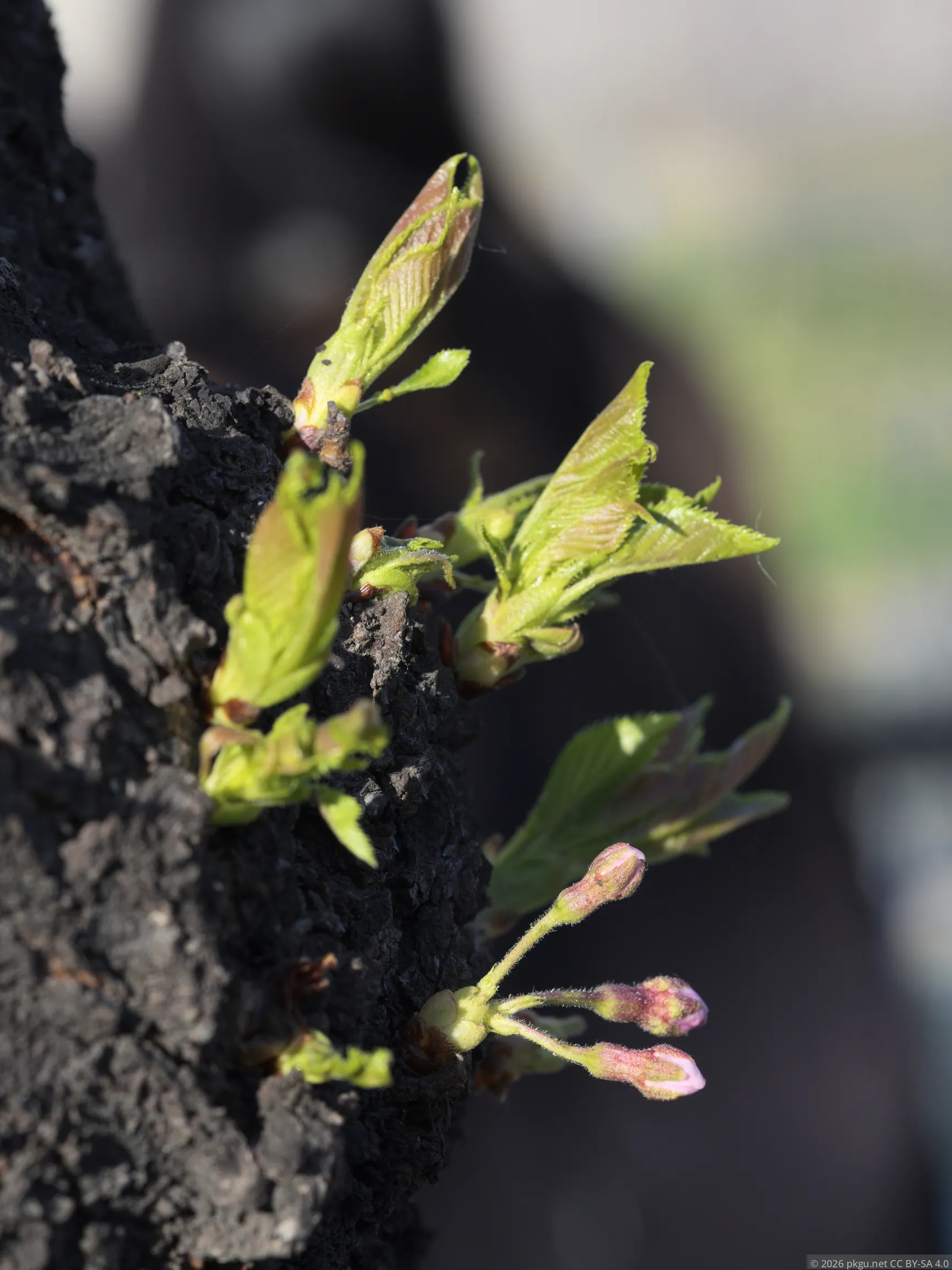 2b9d77adb05215d7af18