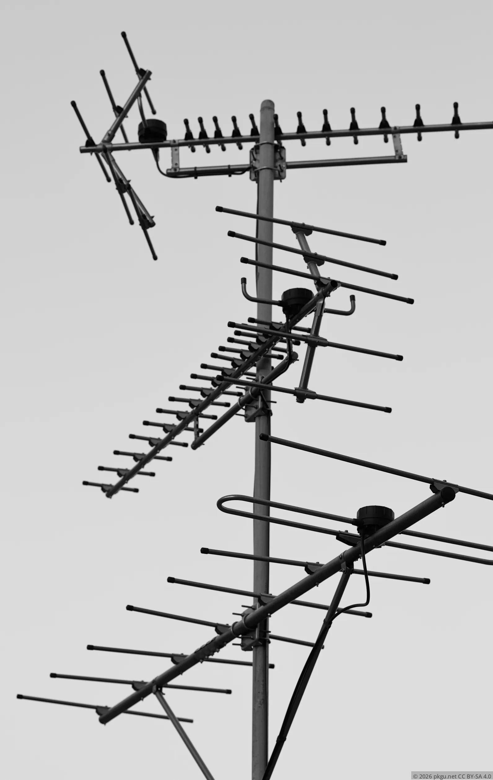 40c04bc466823f8a64c6