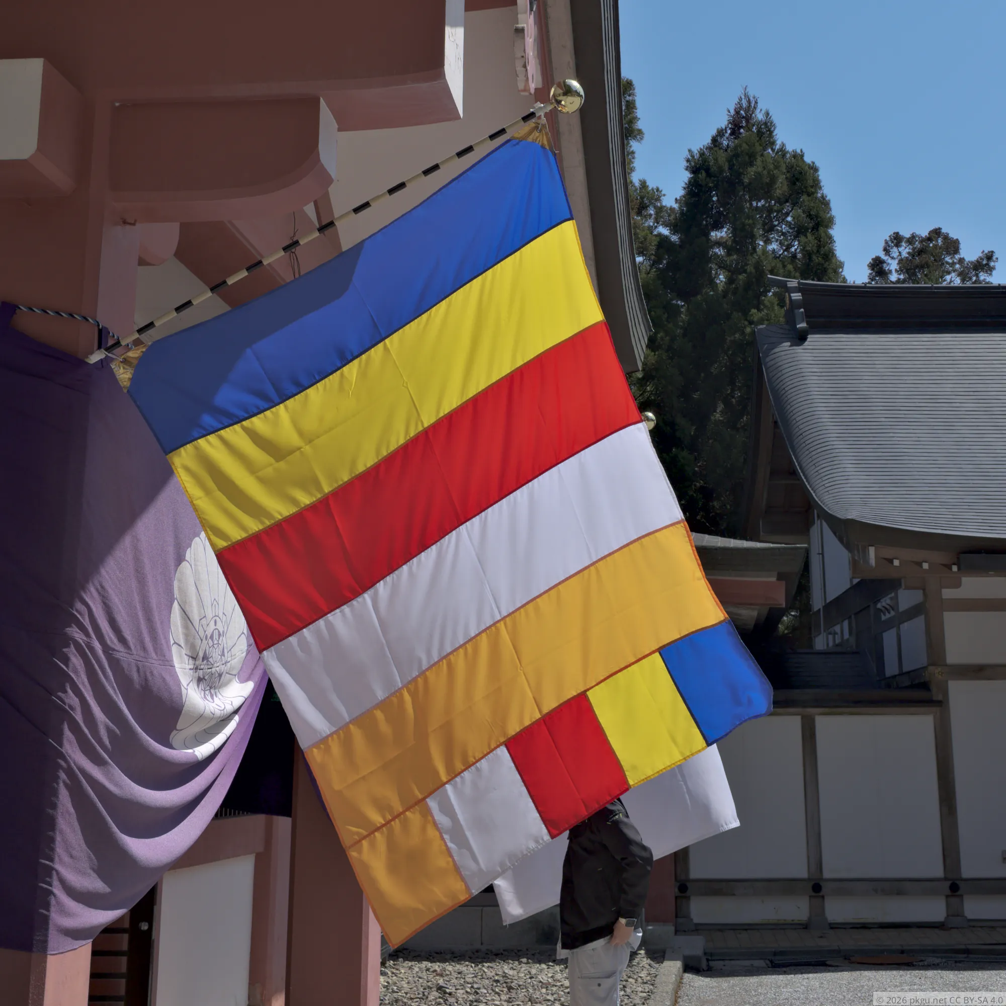 e094625e8aafb8f4e831